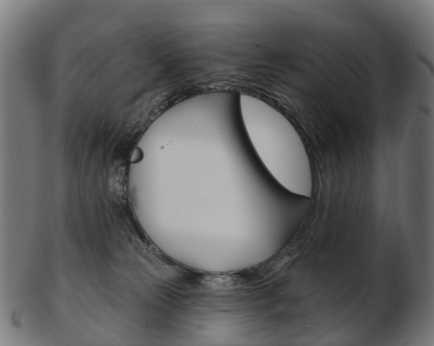 X0000103490181200809120958