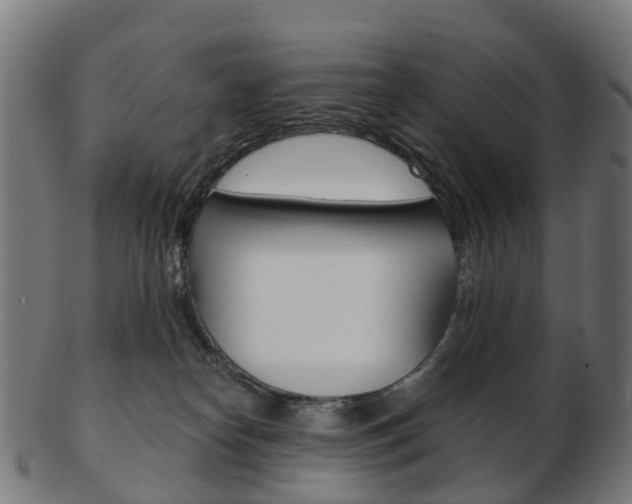 X0000103490182200809120958