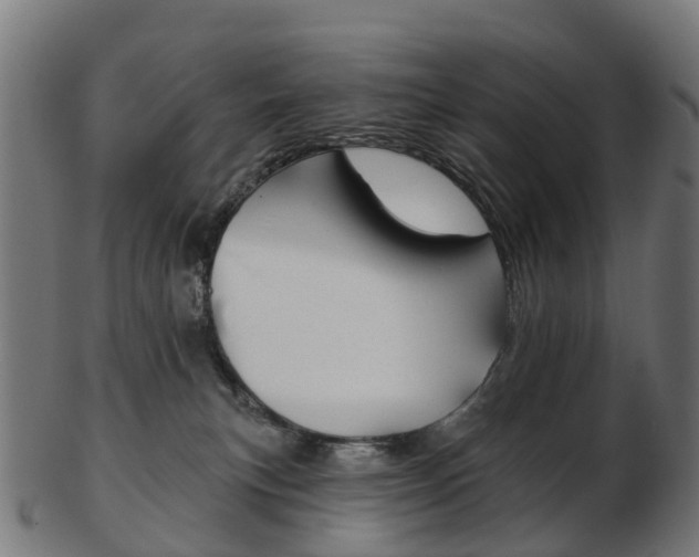 X0000103490183200809120958