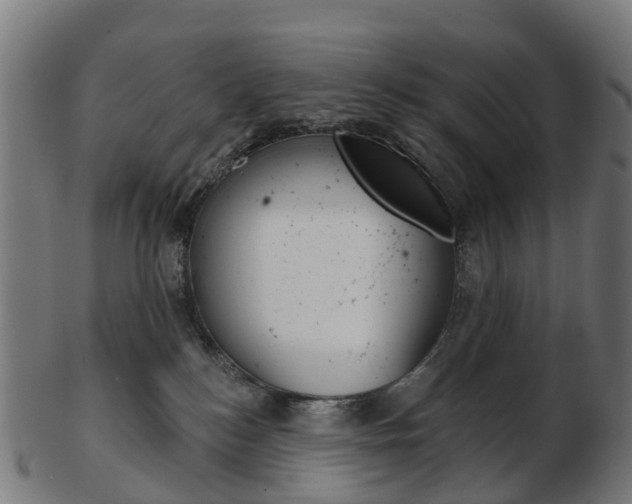 X0000103490184200809120958