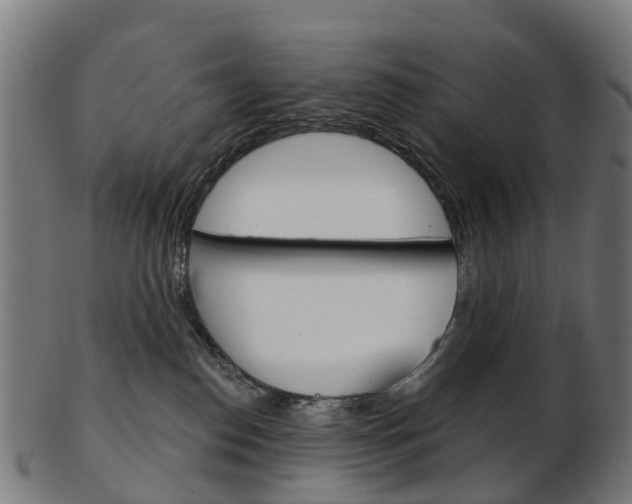 X0000103490186200809120958