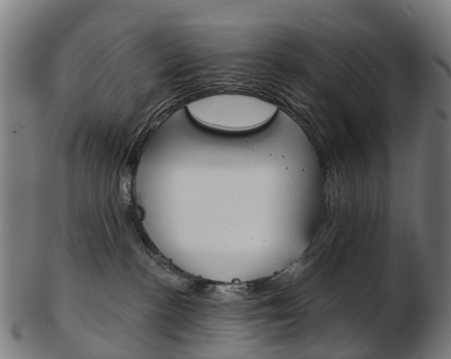 X0000103490188200809120958