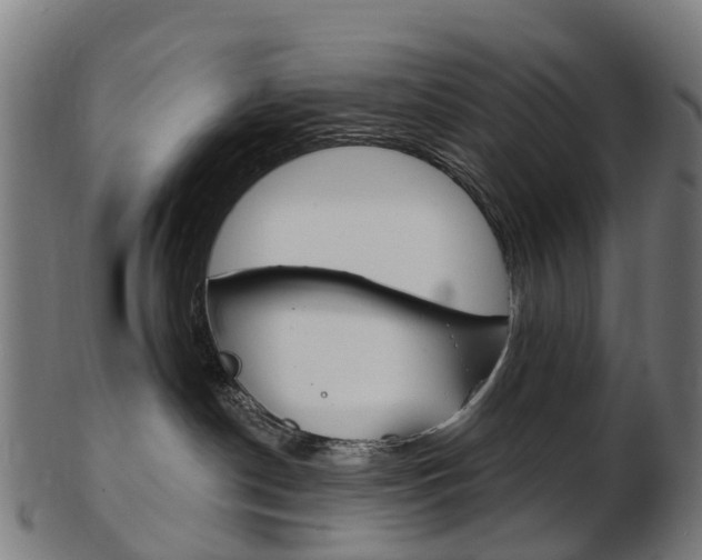 X0000103490190200809120958