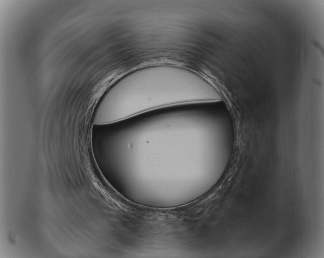 X0000103490193200809120957