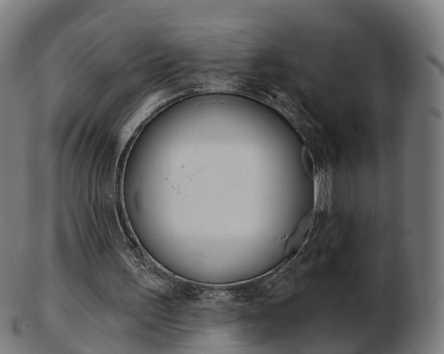 X0000103490195200809120957