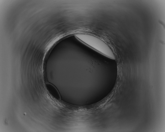 X0000103490196200809120957