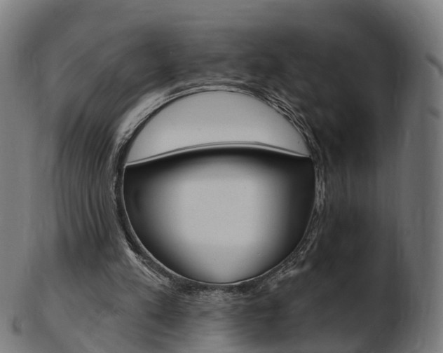 X0000103490197200809120957