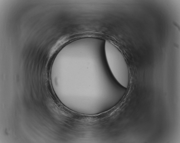 X0000103490198200809120957