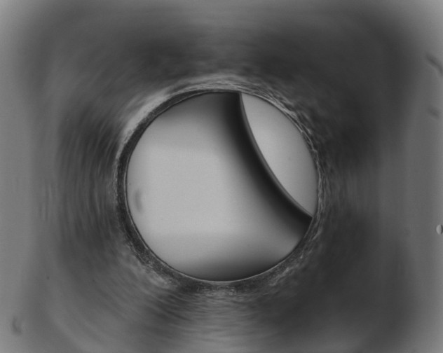 X0000103490200200809120957