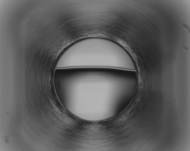 X0000103490201200809120957