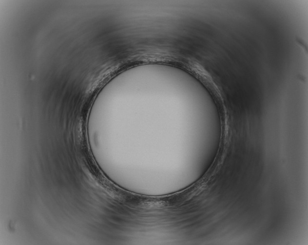 X0000103490202200809120957