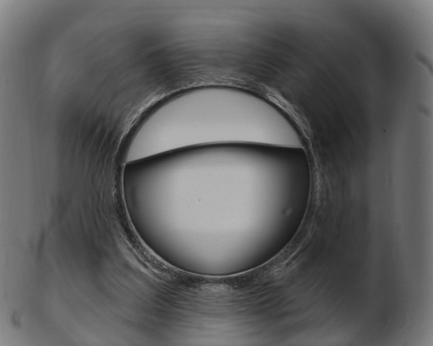X0000103490203200809120957