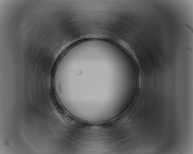 X0000103490204200809120957