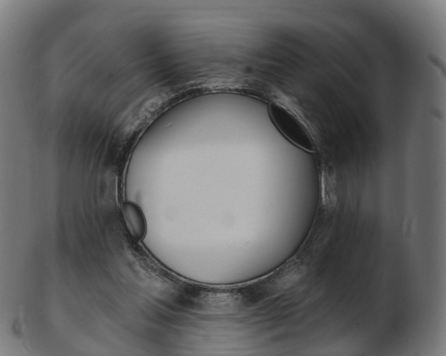 X0000103490205200809120957