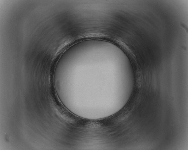 X0000103490207200809120957