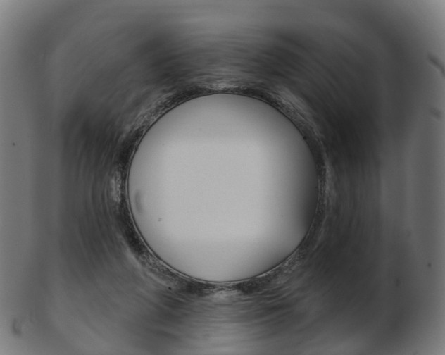 X0000103490210200809120957