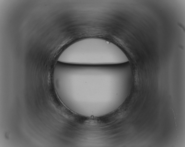 X0000103490211200809120957
