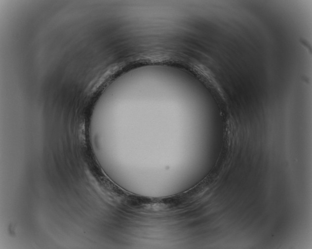 X0000103490212200809120957
