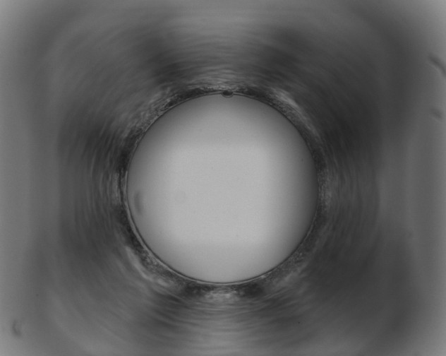 X0000103490213200809120957