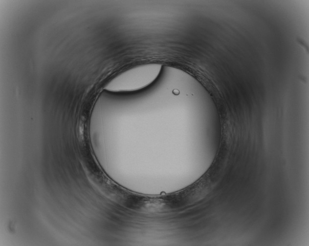 X0000103490214200809120957