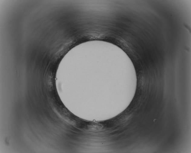 X0000103490215200809120957
