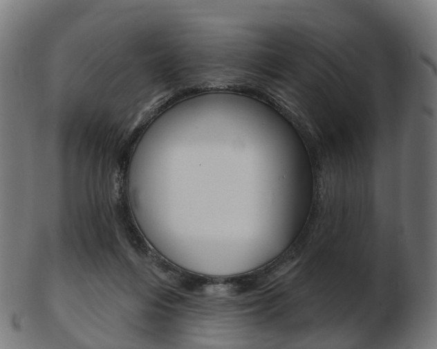 X0000103490216200809120957