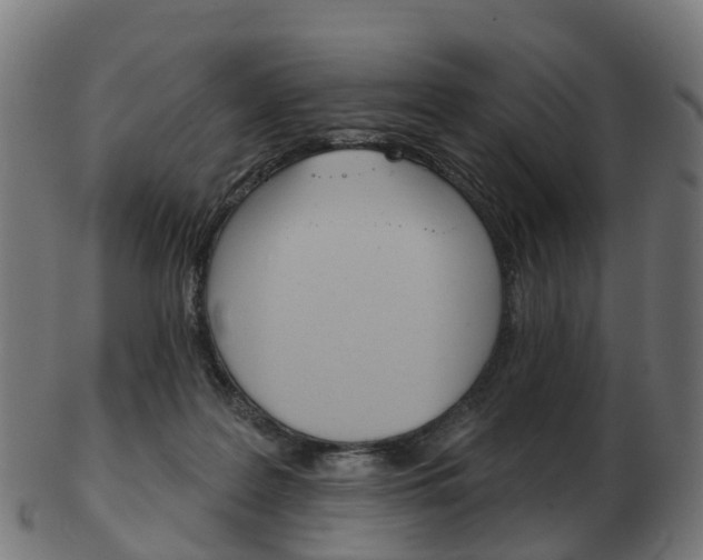 X0000103490219200809120957