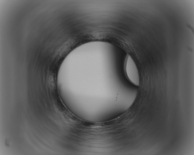 X0000103490220200809120957