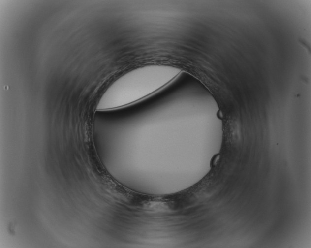 X0000103490224200809120957