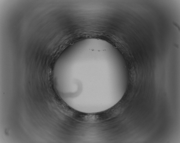 X0000103490225200809120957