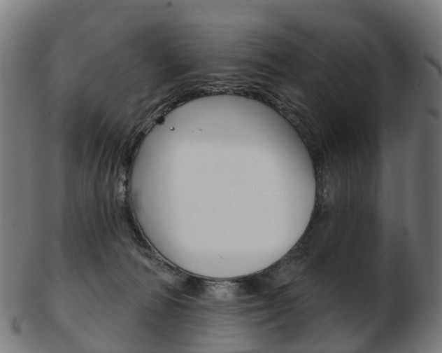 X0000103490226200809120957