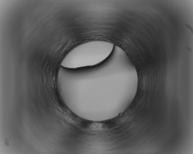 X0000103490227200809120957