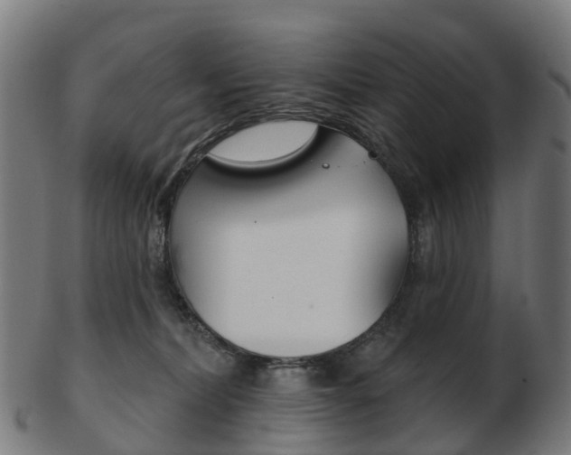 X0000103490228200809120957