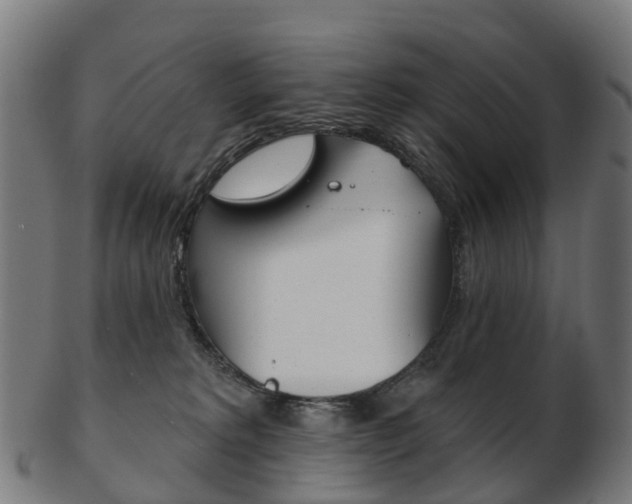 X0000103490229200809120957