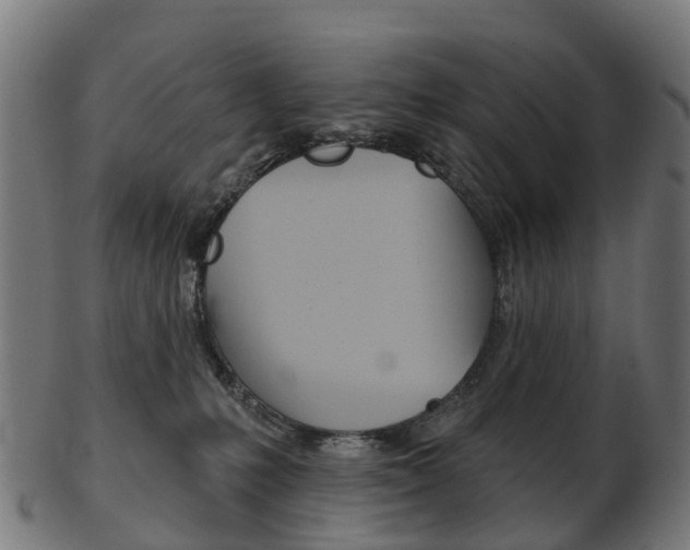 X0000103490231200809120957