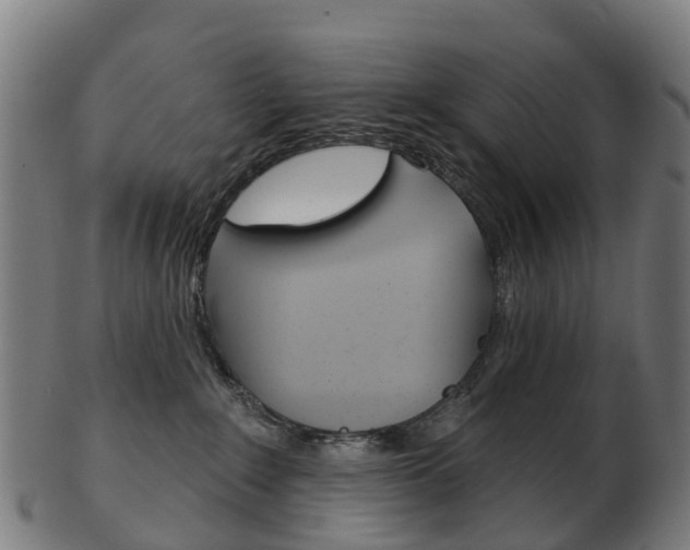 X0000103490235200809120957