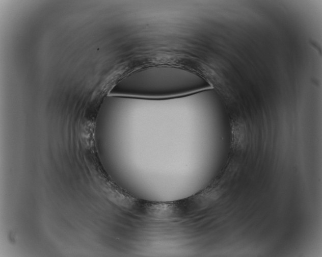X0000103490237200809120957