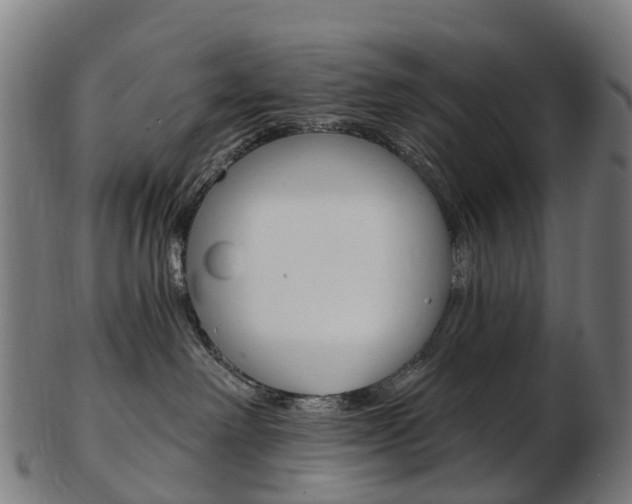X0000103490238200809120957