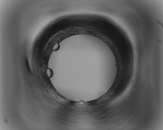 X0000103490239200809120957