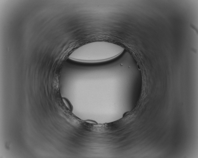X0000103490240200809120957