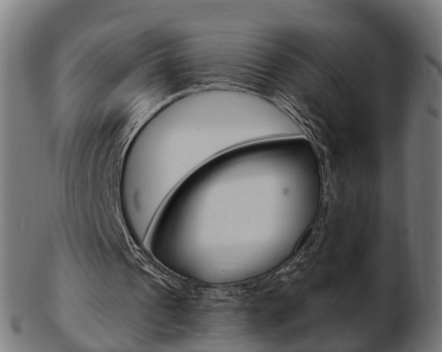 X0000103490241200809120956