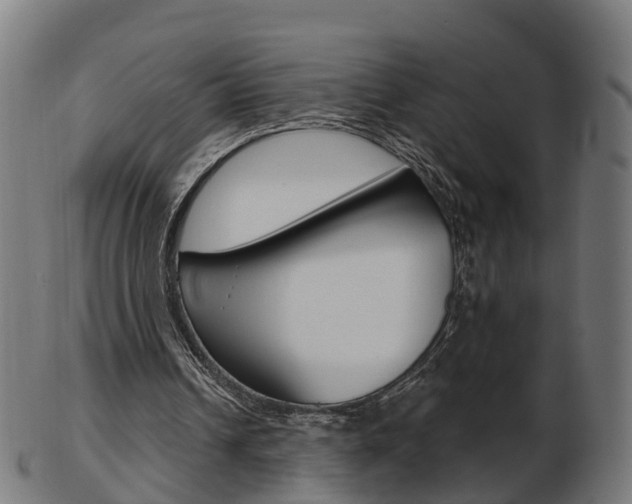 X0000103490242200809120956