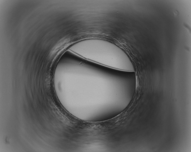 X0000103490243200809120956