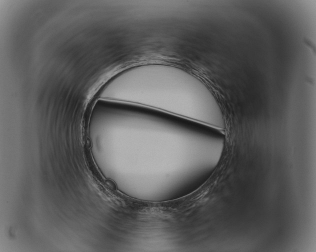 X0000103490244200809120956