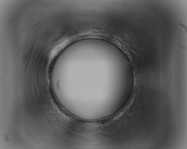 X0000103490245200809120956