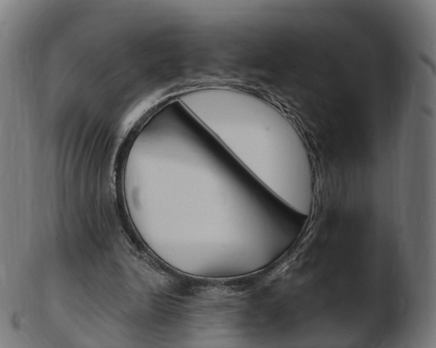 X0000103490246200809120956