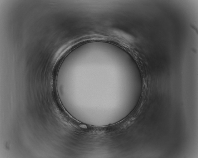 X0000103490247200809120956