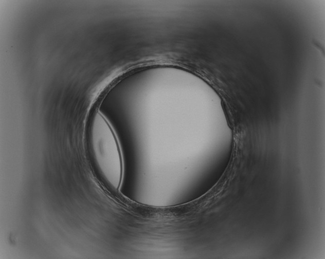 X0000103490248200809120956