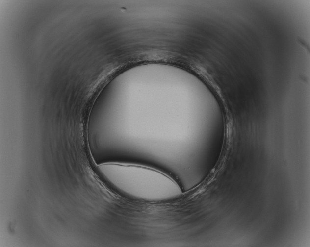 X0000103490249200809120956