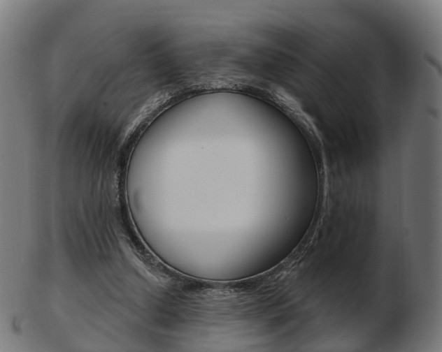 X0000103490250200809120956